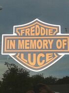 Freddie Luce